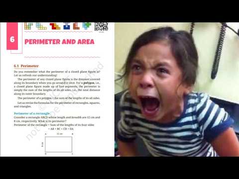 Ranking Class 6 Maths Chapters With Memes