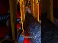 High-Speed Hydraulic Log Splitting Machine | Industrial Wood Processing in Action (USA Standard)