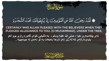 لقد رضىَ الله عن المؤمنين إذ يبايعونك تحت الشجرة/سورة الفتح _ تەفسیری ڕێبەر