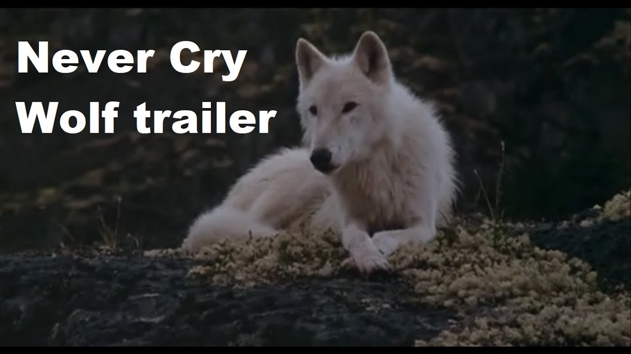 Manaworld Cry Wolf