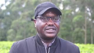 Dr Deo Guide Rurema, travailler en synergie pour une production production production production plu
Dr Deo Guide Rurema, travailler en synergie pour une production production production production plu Dr Deo Guide Rurema, travailler en synergie pour une production production production production plu