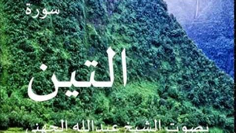 سورة التين بصوت الشيخ/ عبدلله الجهني 95