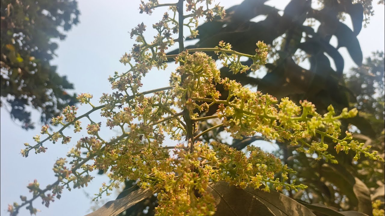 দেনা পাওনা ১২২ | Dena Pawna 122 Episode 122 | Allen Shuvro |Shahiduzzaman Selim | Drama Series2025