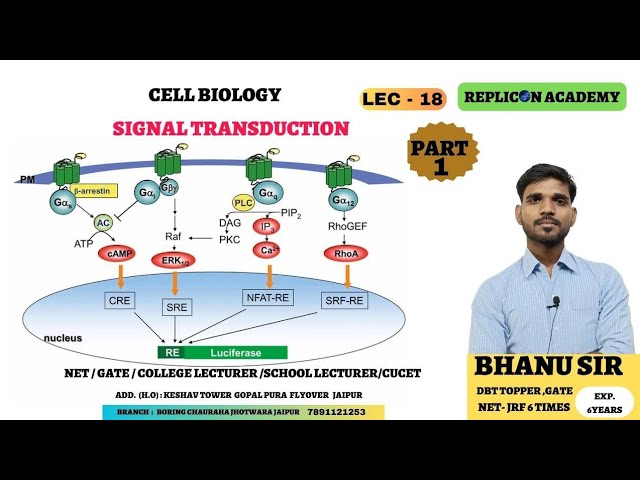 cell bio lec 18 ll cell signalling basics ll signal transduction ll csirnetlifescience