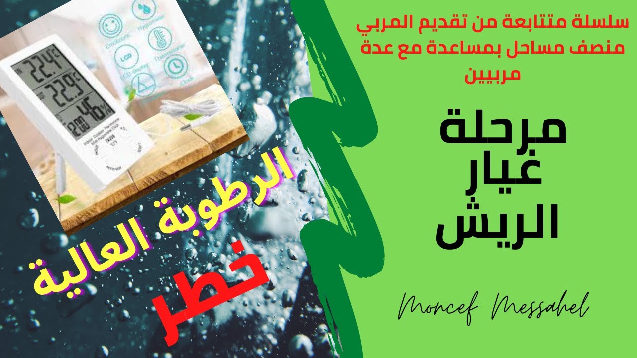 طريقة التخلص من الرطوبة