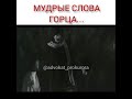 МУДРЫЕ СЛОВА ГОРЦА 