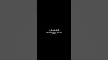 يوم يجمعكم ليوم الجمع - سورة التغابن || طارق محمد #كرومات_قرآن
