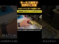 モールス信号の世界 #モールス信号 #アマチュア無線