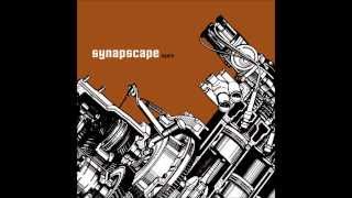 Synapscape - Who Painted My Cat Black