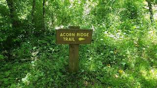 Pinnacle Rock State Park - Acorn Ridge Trail