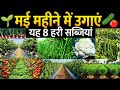 मई माह में उगाई जाने वाली सब्जियां🌱Mai maah me konsi sabji lagaen🥒Mai June mein sabji ki kheti