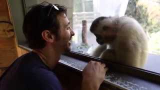 Godsmack: Monkeying Around In Australia