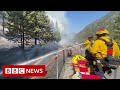New video by BBC News on YouTube