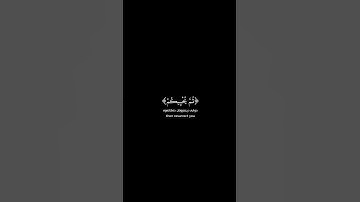 شاشة سوداء قران كريم | {كيف تكفرون بالله} سورة البقرة آية ٢٨ القارئ ياسر الدوسري