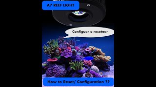 A7 REEF LIGHT - how to configure the lamp _ How to do Reset/ confi