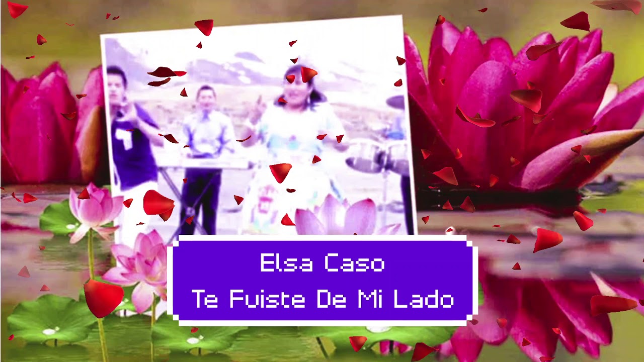 Elsa Caso - Te Fuiste De Mi Lado (audio oficial) - YouTube