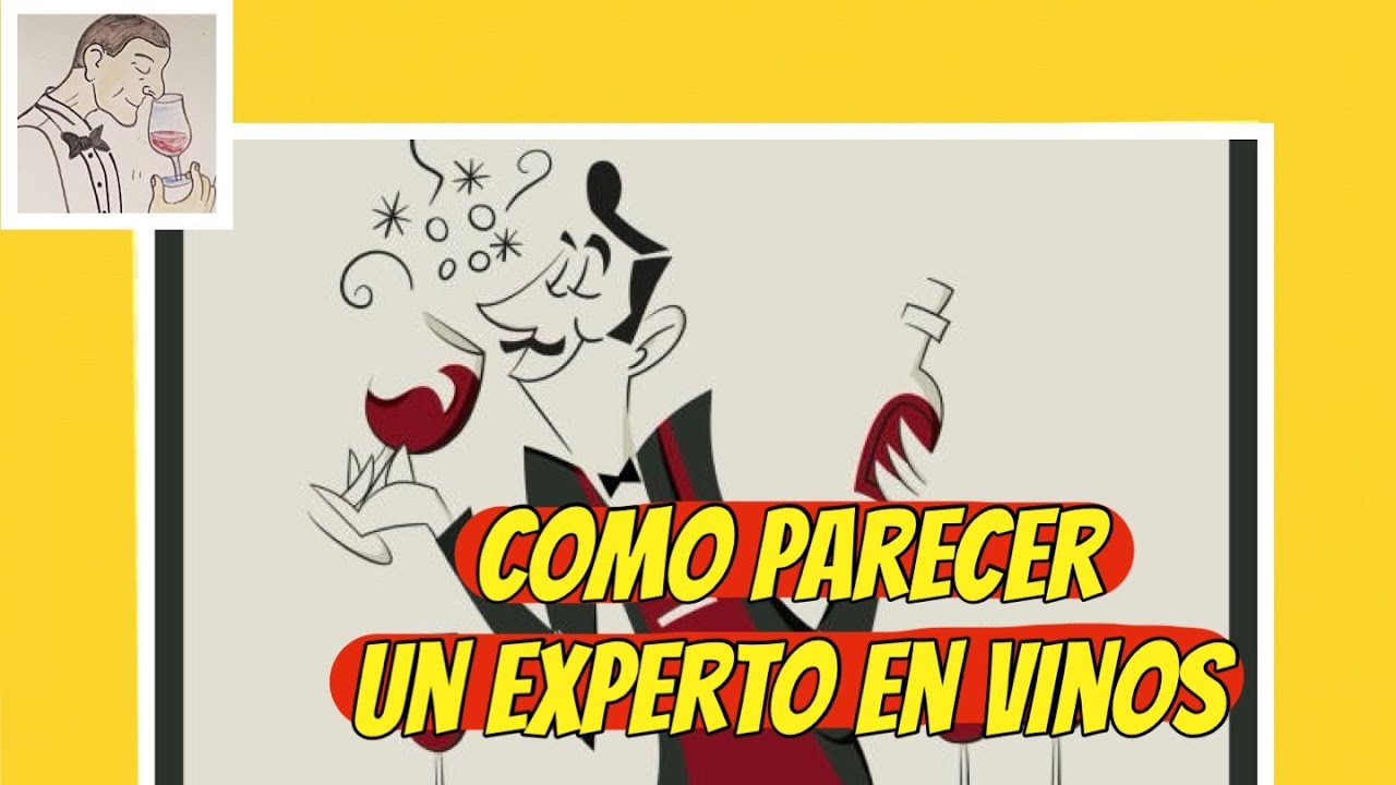 (8) Algunos PEQUEÑOS TRUCOS para pasar por EXPERTO EN VINOS