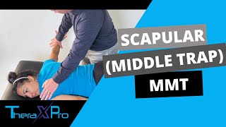 Manual Muscle Test | Scapular Retraction (Middle Trapezius Strength)