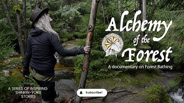 Alchemy of the Forest | Promotional introduction by Kat Mertens