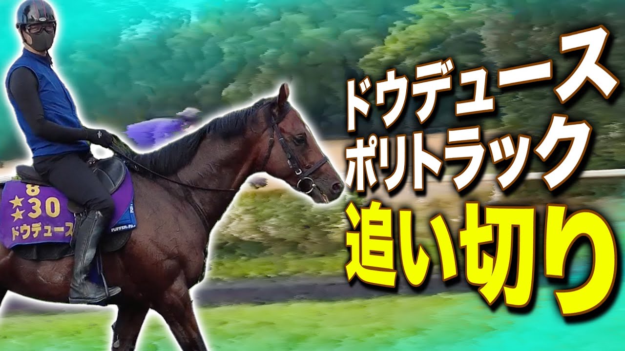 【ドウデュース】凱旋門賞へ向けて順調に調整中！