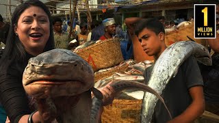 বড় বড় মাছের মেলা চট্টগ্রাম ফিশারি ঘাটে | The Largest Fish Market | Bangladesh@PanoramaDocumentary