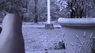 The System Only Dreams In Total Darkness (Unofficial Music Video)