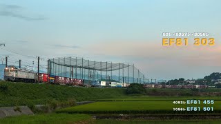 【鹿児島本線を快走する貨物列車】EF81 303/EF81 455/EF81 501/EH500重単//2022年7月22日〜7月27日撮影