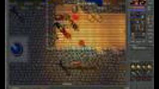 Tibia thais pk 1