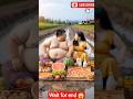 ❤️ Evolution of baby: Train Attack on sumo wrestler with family #cat #cute #love #shorts BabyOnly 99