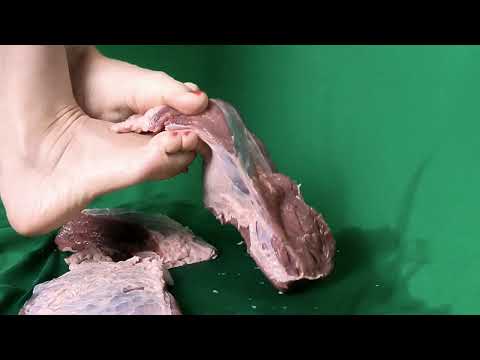 Bare feet tangling raw meat (beef)