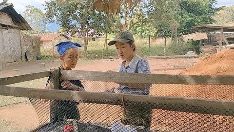 kuv niam wb ntsia pob tawb rau me nyuam qaib noj qhauv..