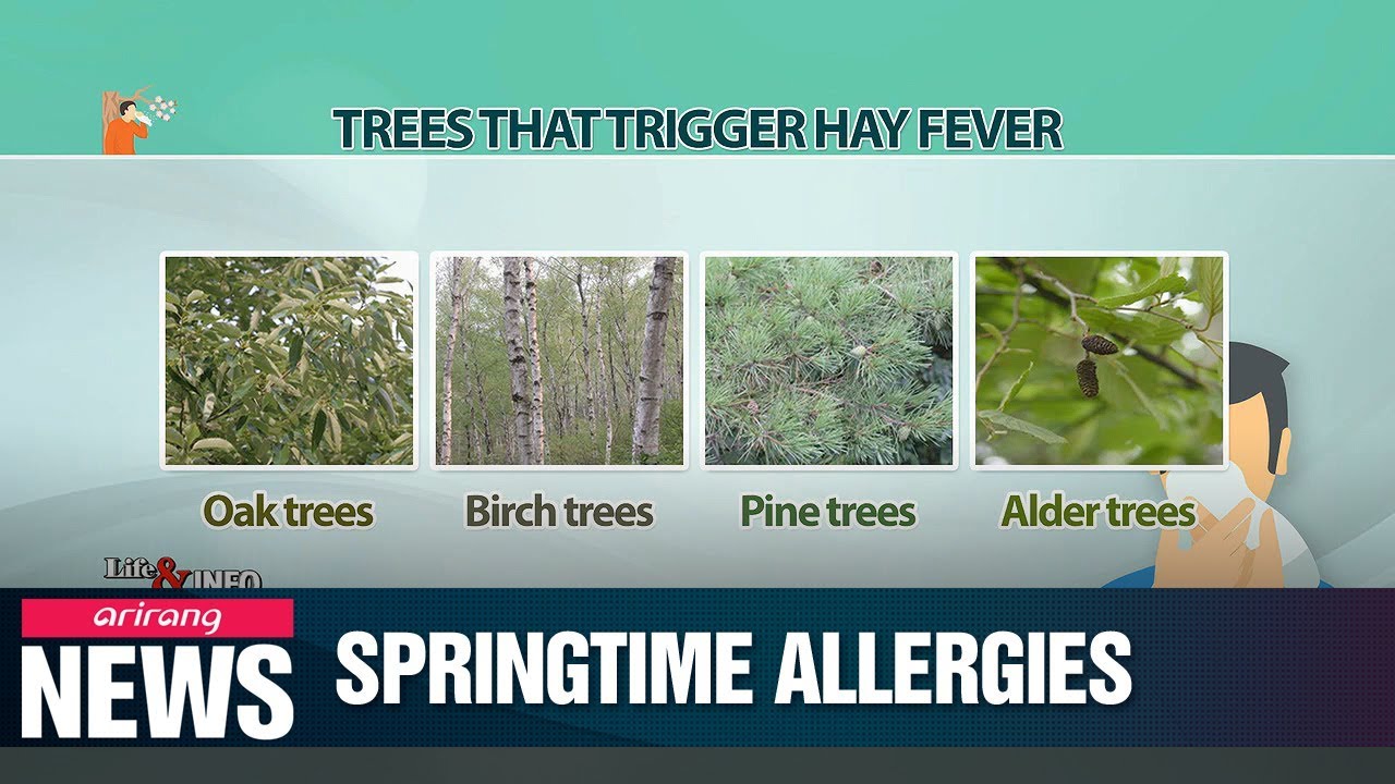 Spring allergies lasting longer this year due to warmer temperatures