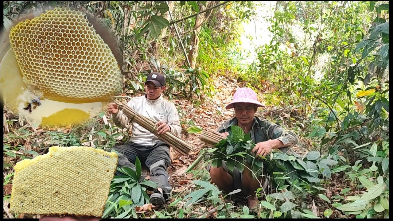 kuv coj peb mus muab ntab nej puas ntshai thiab os.26/2/2026