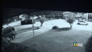 Exclusive Ashanti Billie Surveillance Video