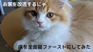 お家を床全面マットに改造して猫フォーストにしてみた　for kitten