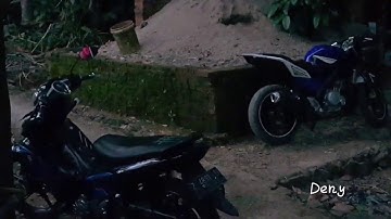 Reaksi Anjing Ketika mendengar Suara Adzan