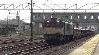 JR貨物 EF64-1019 専用貨物列車(8785レ 原色=国鉄色 石灰石 赤ホキ)清洲駅