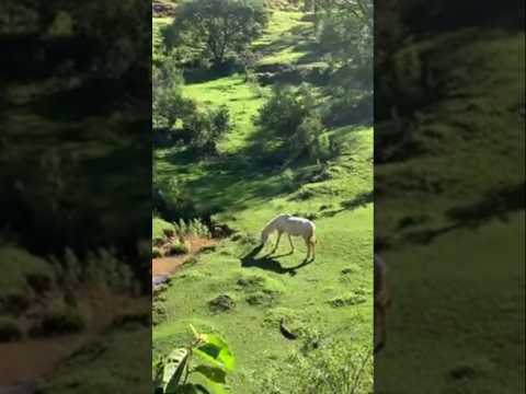 روعة الاجواء هنا لا تقاس بما تراه العين بل ما تتركه في القلب قران كريم الريف دعم فضلا Nature