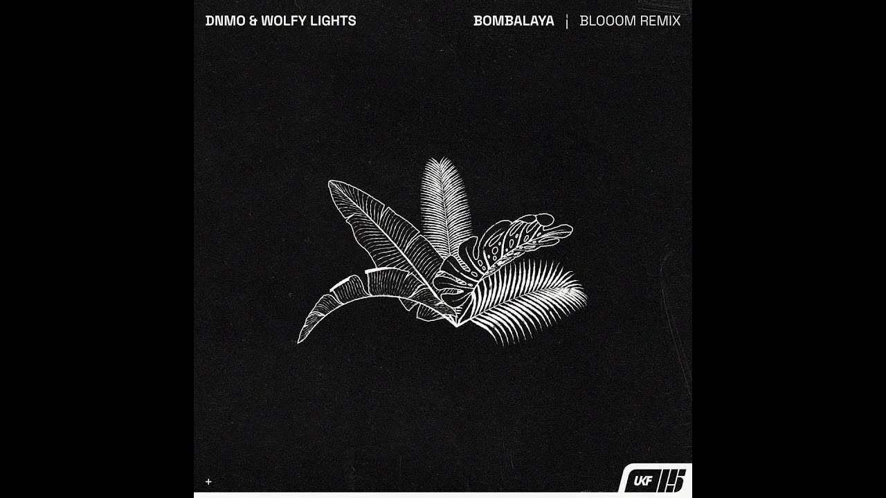 DNMO \u0026 Wolfy Lights - Bombalaya (Blom Remix)