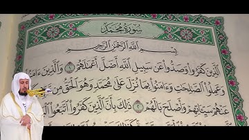 سعد الغامدي - سورة محمد (47) بجودة عالية - Saad Al Ghamdi - Surah Muhammad [47]
