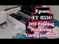 Epson Et-8550 DTF ( Direct to film) printing, powder, and curing no oven.