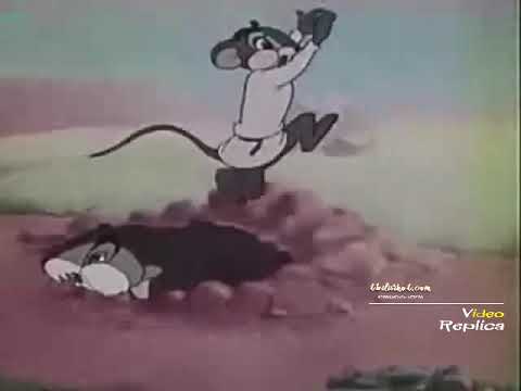 მარტო ვმუშაობ და