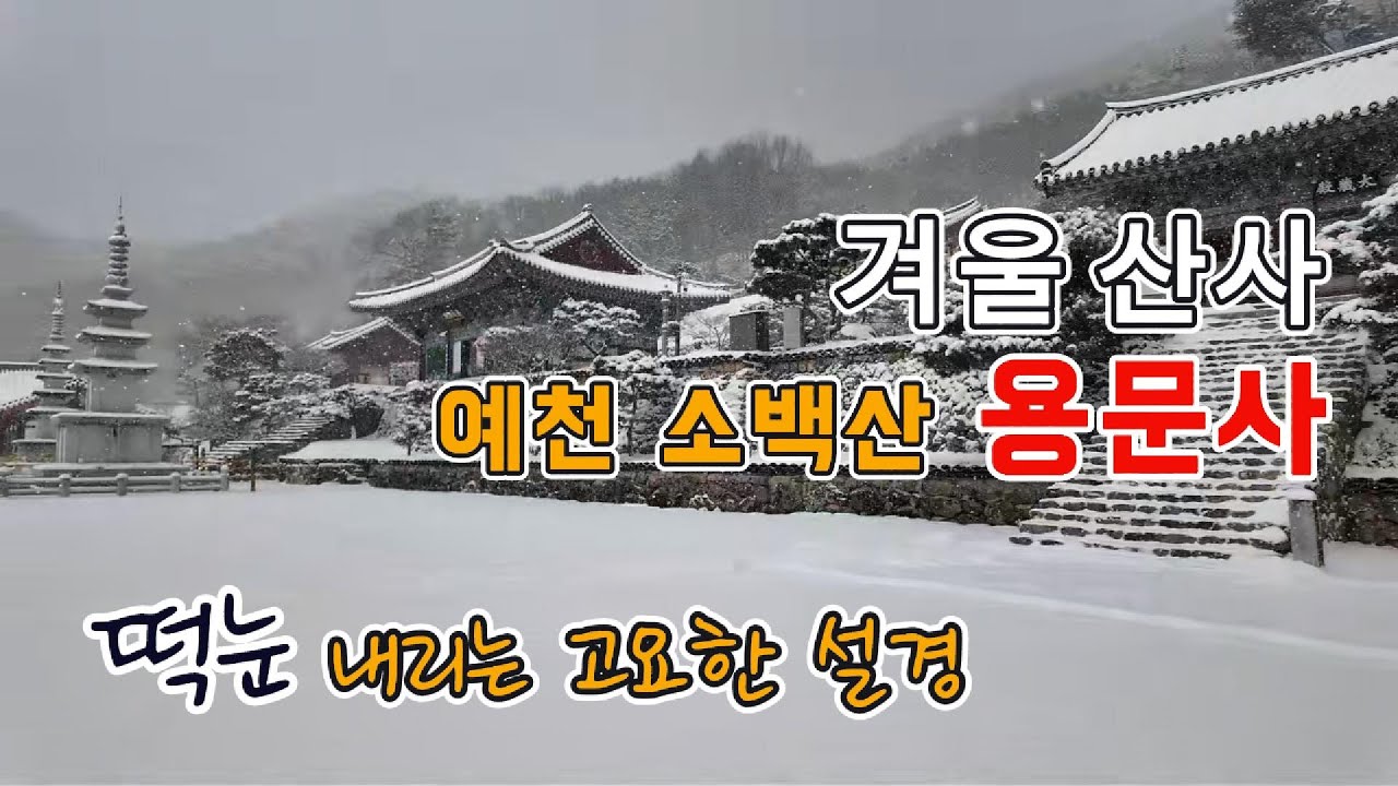 ◈국내 유일! 국보인 한쌍의 늙은 윤장대가 있는 '소백산 용문사'