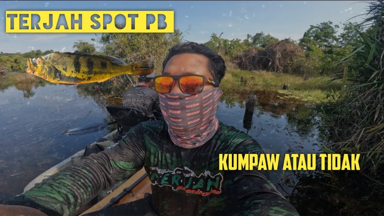 Serangan PB dan Haruan curut melekung lemax 1-3lb 💯✔️ | EP1