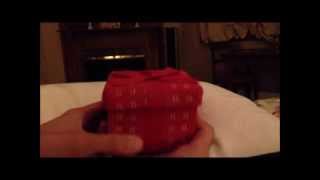 Mice in a Box do Blurred Lines