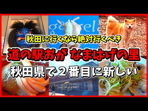 【秋田県】これを見れば男鹿半島の全てが分かる！海鮮！グルメ！なまはげも買える最新道の駅！【道の駅おが】