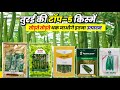 Top5 varieties of ridge gourd production of hybrid seeds top class turmeric cultivation new variety