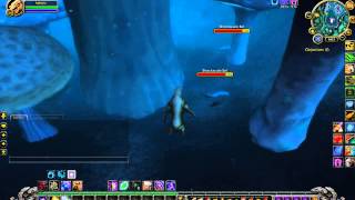 WOW - Location of the Mushroom-Covered Chest