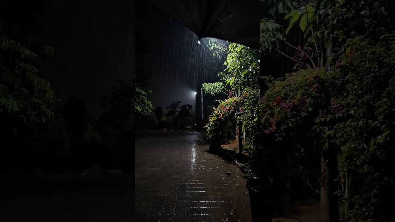 ♬ ฟังเพลงก่อนนอน / เพลงอนิเมะ🎧