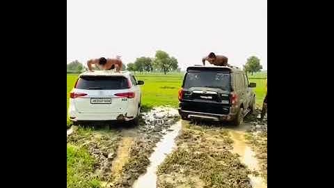 #jaatsarkar#jaatdevta#jaatstatus#jaatattitude#rudiyaaalajaat#jaatnistatus#jaatbhai#attitudeboyjaat